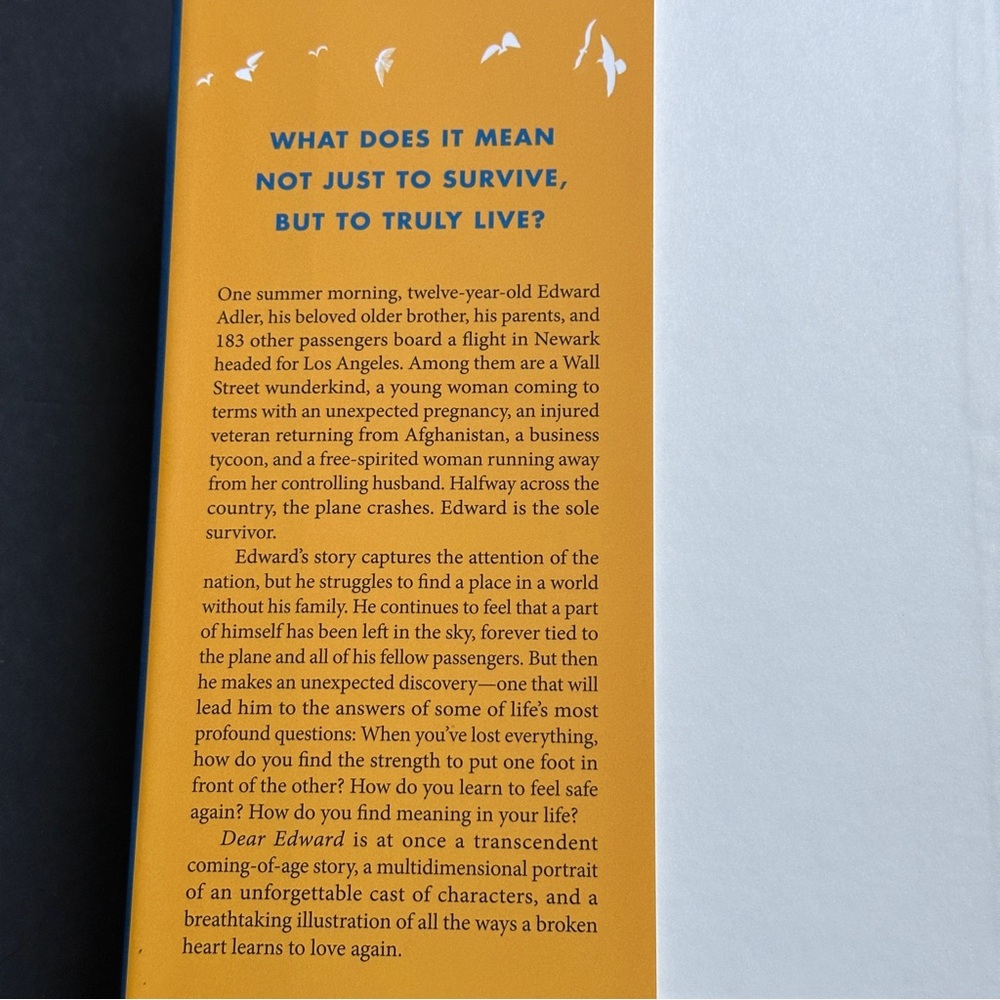 Dear Edward: A Novel by Ann Napolitano | Literary Fiction | Hardcover Book - Picture 7 of 10